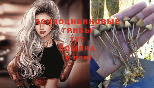 дживик Аркадак