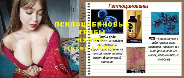 ГАЛЛЮЦИНОГЕННЫЕ ГРИБЫ Алексеевка