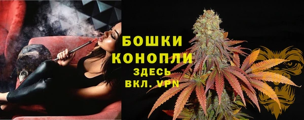 дживик Аркадак