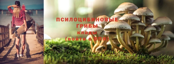 трава Алексин